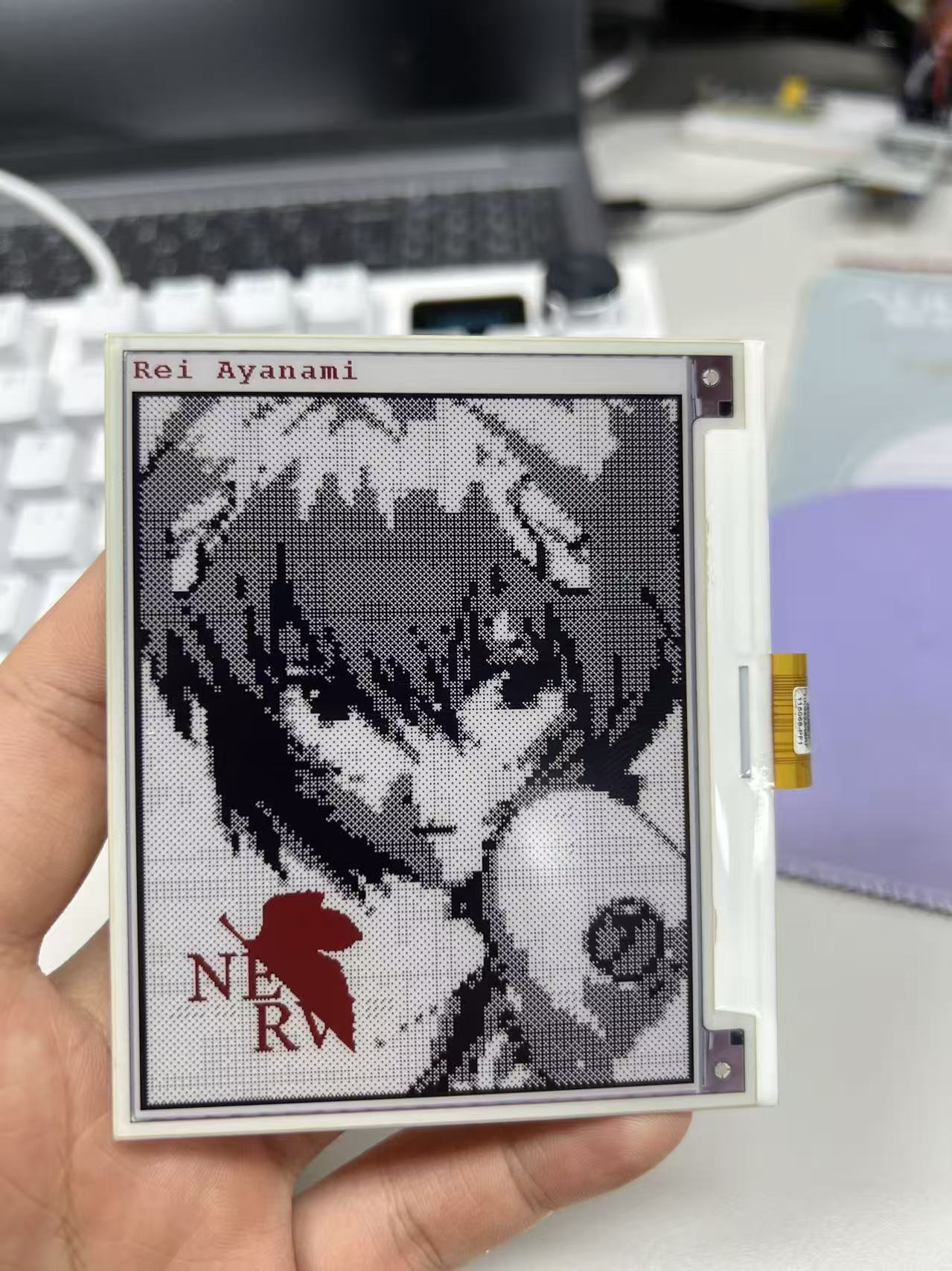 图片实例-凌波丽